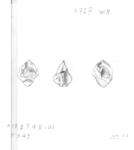 L_W16b2522 A12q0748.01 N728 wh li f349